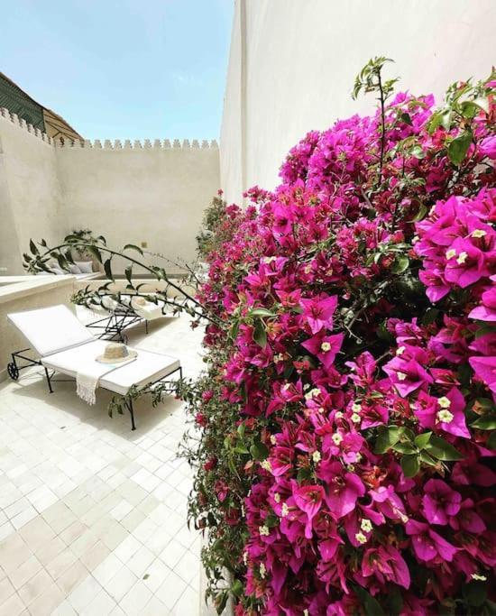 Riad Vivre - Design Boutique Riad In Marrakech มาร์ราเกช ภายนอก รูปภาพ