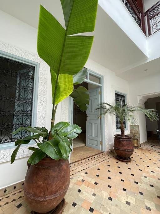 Riad Vivre - Design Boutique Riad In Marrakech มาร์ราเกช ภายนอก รูปภาพ